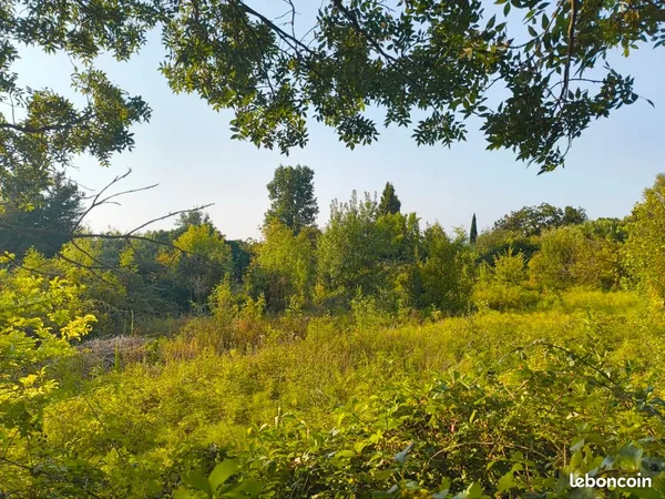 Rare - Terrain de loisirs / jardin en ville - 2 100 m²
