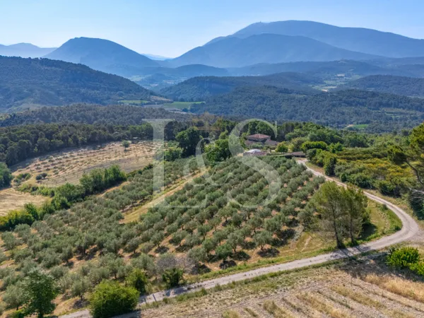 La Provence dans toute sa splendeur, le Ventoux pour horizon