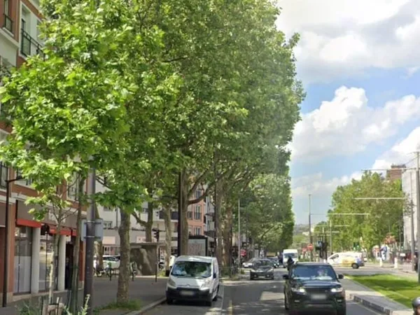 Boutique 2 pièces 81 m²
