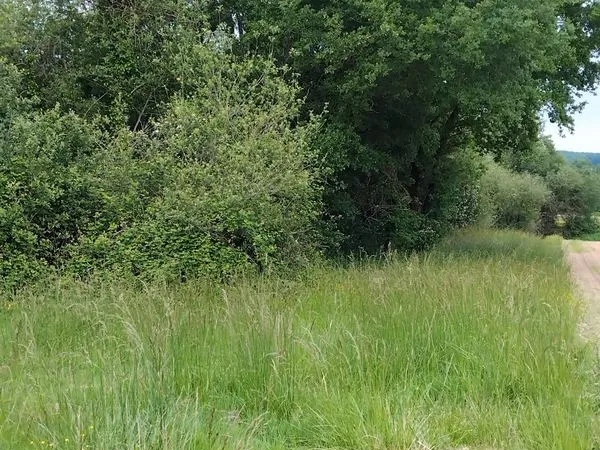 Terrain agricole avec une forêt