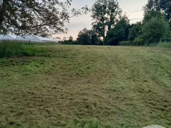 Terrain 2934 m²