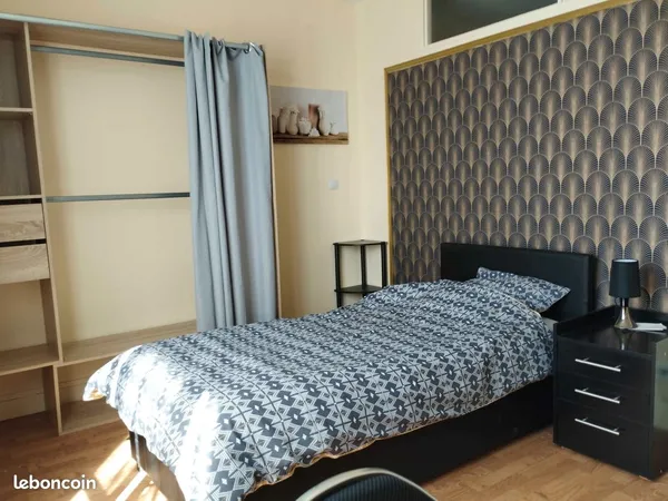 Chambre lumineuse au coeur d'Orléans (quartier St-Marceau)