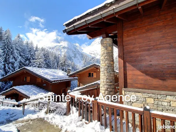 Magnifique chalet individuel à la station de Sainte Foy