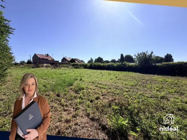 Terrain constructible