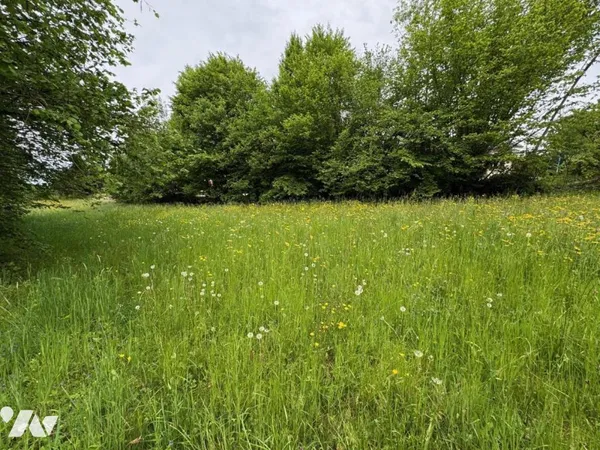Terrain 732 m²