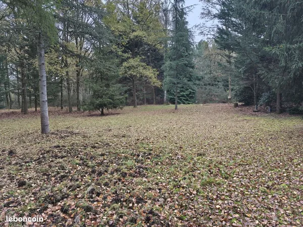 Terrain 7659 m² Mulsanne
