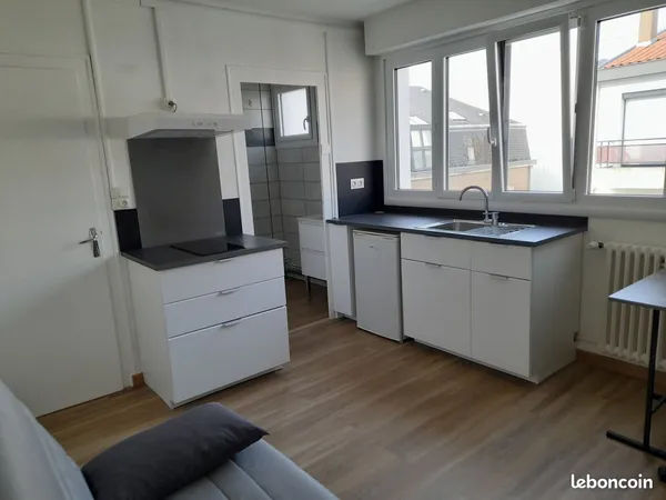 Studio 17 m2 implanté au coeur du Pentagone à 2 pas de la rue Clémenceau