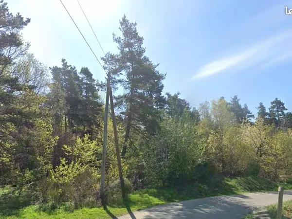 Terrain boise - non constructible