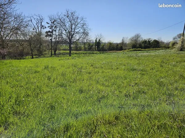 Terrain 1601 m² Allerey-sur-Saône