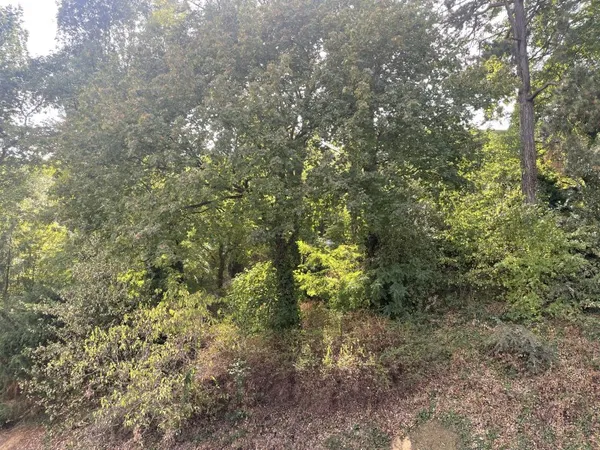 Loue 2 pièces meublés CLAMART CENTRE - CITÉ BOIGUES - AVEC VUE EXCEPTIONNELLE SUR LA VERDURE