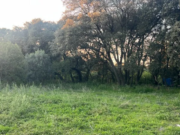 Terrain 490 m²