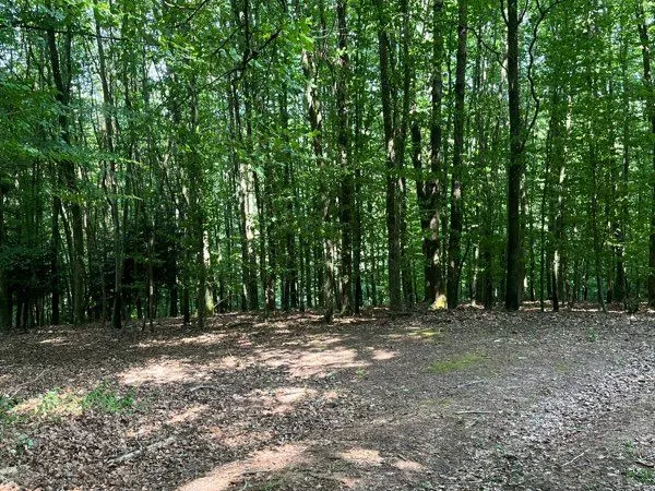 Bien agricole et foncier Vente Volksberg  50000m² 70000€
