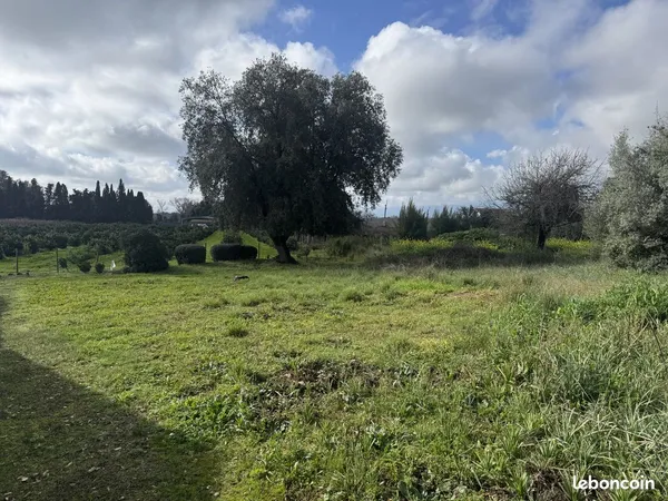 Terrain 1000 m² Aléria