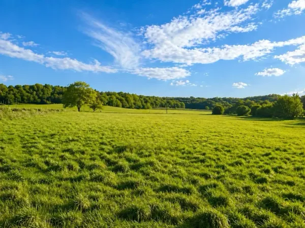 Terrain 1500 m²