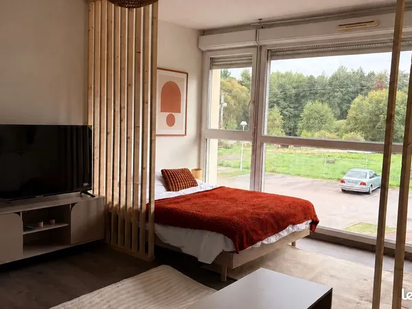 Appartement F1/T1 meublé de 34m², rénové à neuf - Baccarat