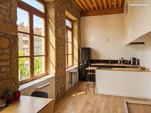 T3 canut meublé 60 m² avec mezzanine - rénové 2020 - Caluire, entre Croix-Rousse et parc de la Tête 