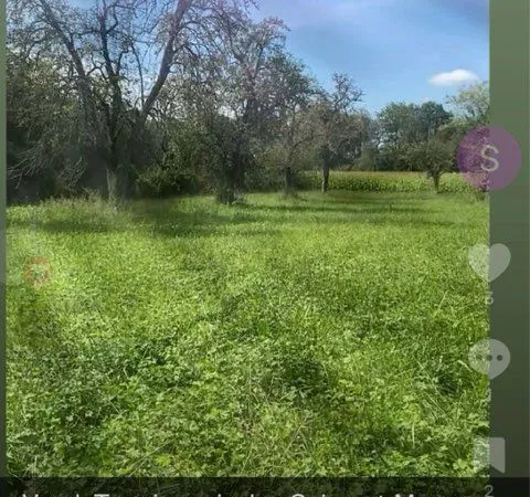 Vend terrain agricole