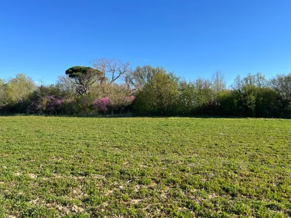 Terrain 734 m²