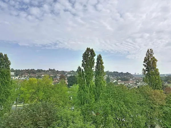 appartement avec une grande pièce de vie