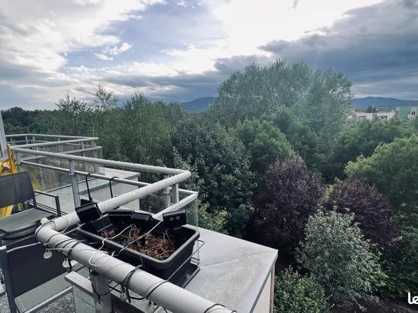 Appartement 69 m² - Dernier étage, terrasse & vue dégagée - Obernai Obernai - Les Roselières | 3e et