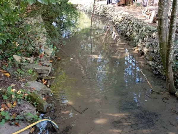 Grand terrain plat ,avec ruisseau dans le terrain ,12 ares ,avec cabane , partie jardin