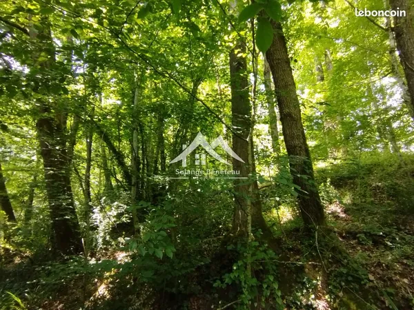 Terrain 10307 m² Sainte-Marthe