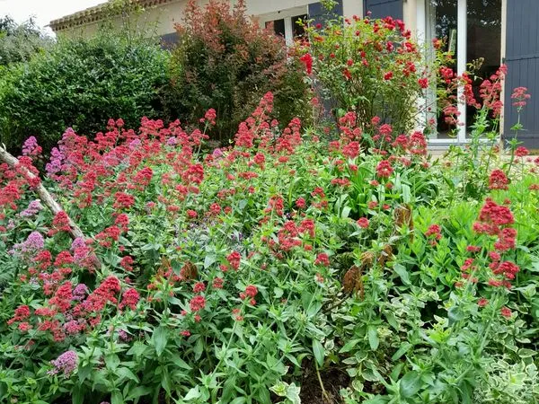 Maison de plain-pied de 160m²
