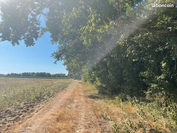 Terrain de loisirs boisé 1 600 m² - Bellebat (33760