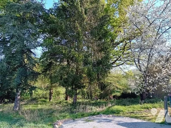Terrain 688 m²