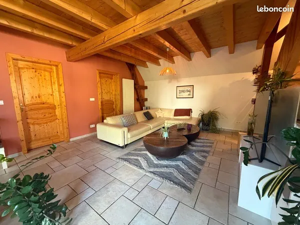Appartement avec grande terrasse, cave et grenier