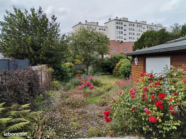 Colocation le Mans