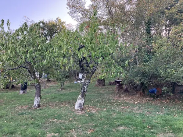 Terrain à bâtir