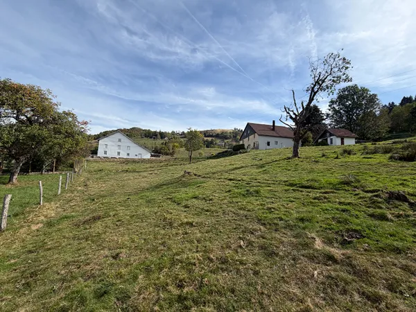 Terrain 3085 m²