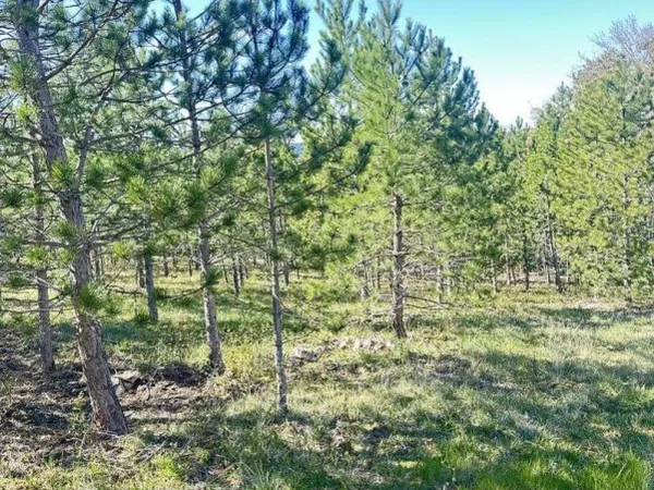 Terrain 501 m²