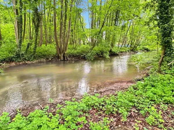 Terrain 1831 m²