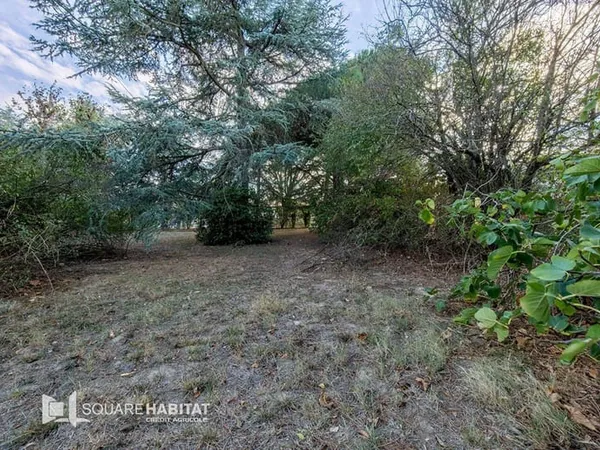 Terrain 649 m²