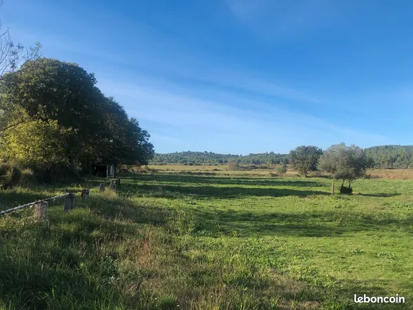 Terrain agricole à louer pour chevaux