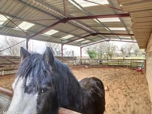 Belle fermette rénovée + mini centre équestre