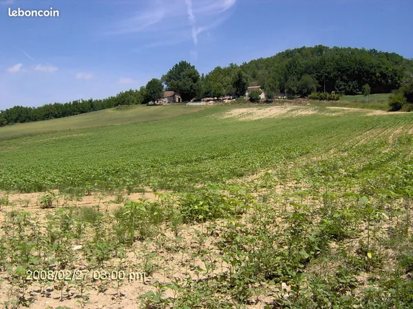 Location terrain agricole de 4 ha