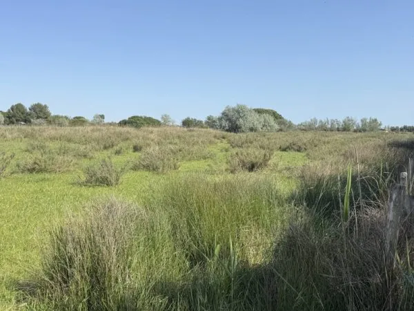 Exclusivité Aigues-Mortes