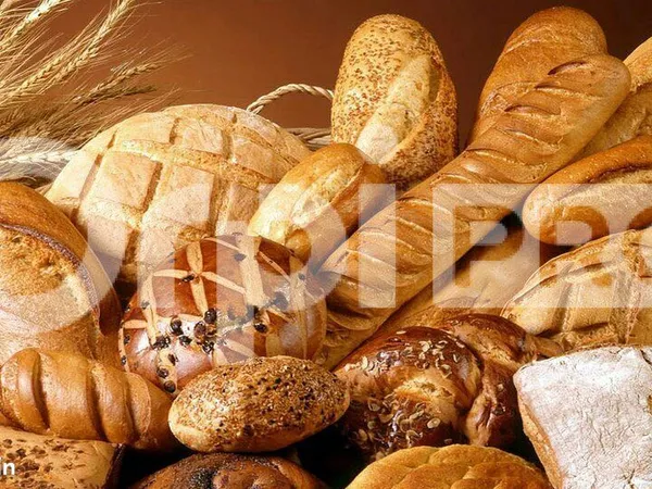 Boulangerie/Pâtisserie 64 m²