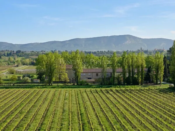 Domaine viticole irrigué 85 ha dans l'Étang de Marseillette