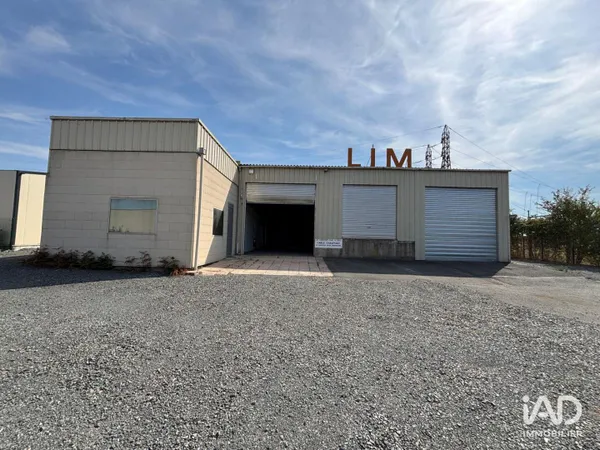 Location Hangar 558 m²
