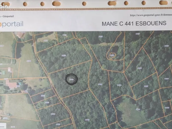 Terrain avec bois sur pied 4840 m2