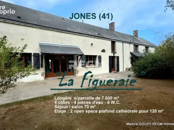 Josnes (41) une maison de campagne grandeur nature... et un projet de vie à inventer - 350 m2 h - t 