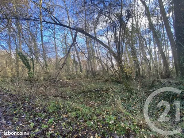 Terrain 13 939 m² Martizay