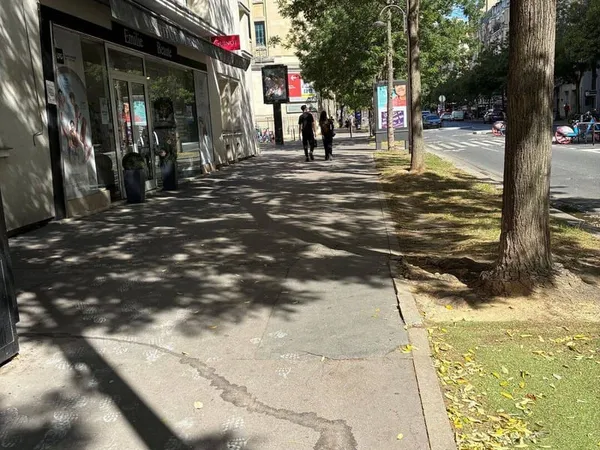 Boutique 1 pièce 42 m²