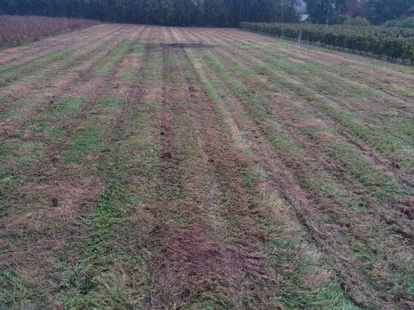 Terrain Agricole ou autre