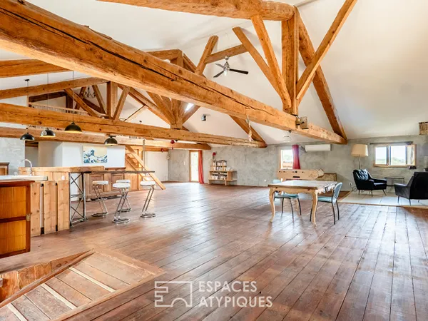 Ancienne cave réhabilitée en loft avec piscine et fort potentiel