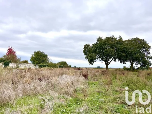 Terrain 3000 m²